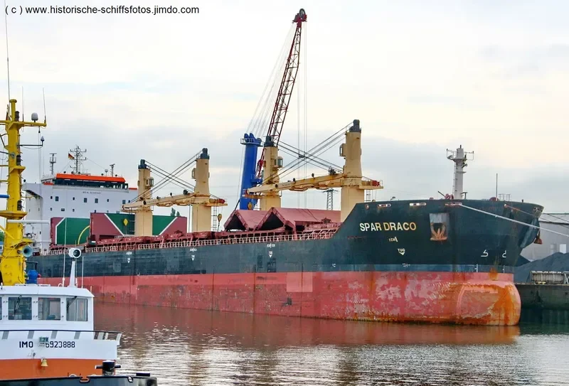 LIANSON DYNAMIC Bulk Carrier IMO 9299305 photo 5