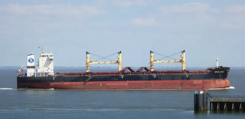 LIANSON DYNAMIC Bulk Carrier IMO 9299305 photo 9