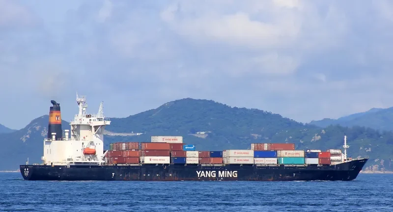 YM HAWK Container Ship IMO 9299317 photo 4