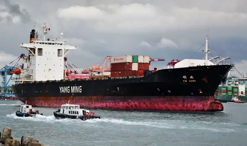 YM HAWK Container Ship IMO 9299317 photo 6