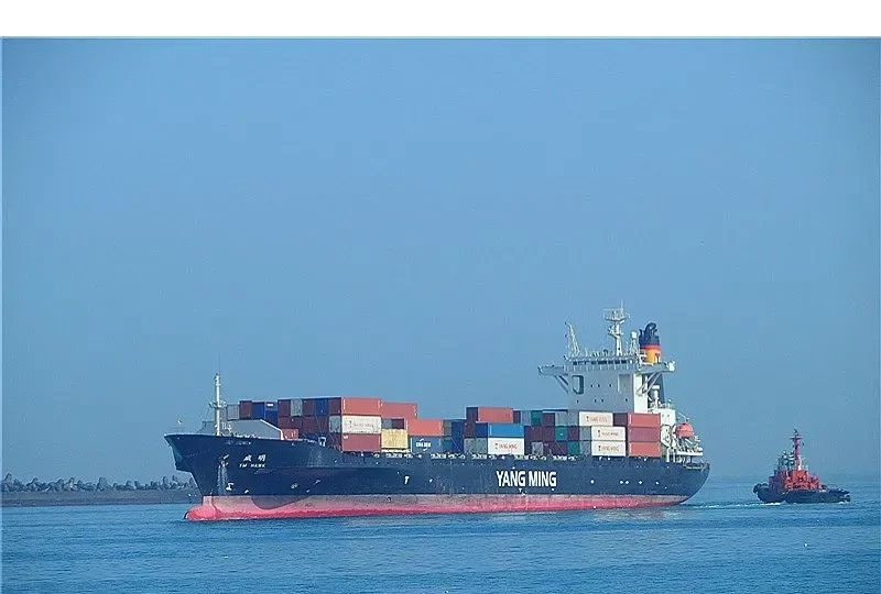 YM HAWK Container Ship IMO 9299317 photo 8