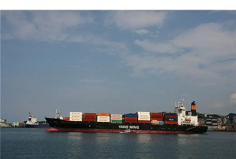 YM HAWK Container Ship IMO 9299317 photo 10