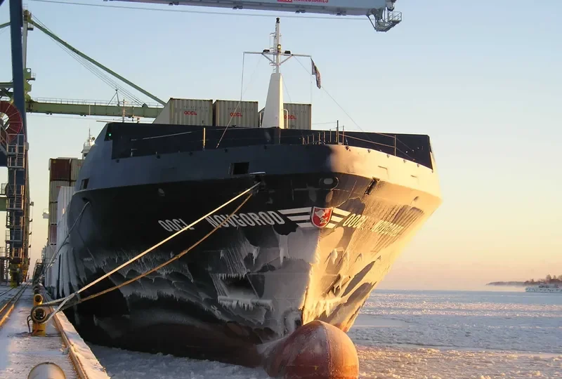 REINHARD SCHEPERS Container Ship IMO 9299513