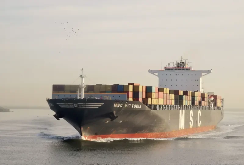 MSC VITTORIA Container Ship IMO 9299551 photo 2