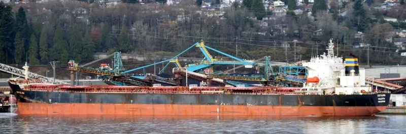 CATALINA Bulk Carrier IMO 9299604 photo 2