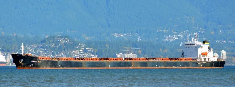 CATALINA Bulk Carrier IMO 9299604 photo 6