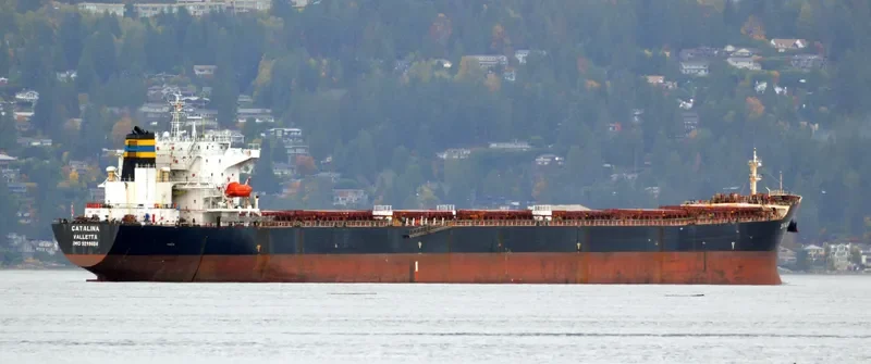 CATALINA Bulk Carrier IMO 9299604 photo 8