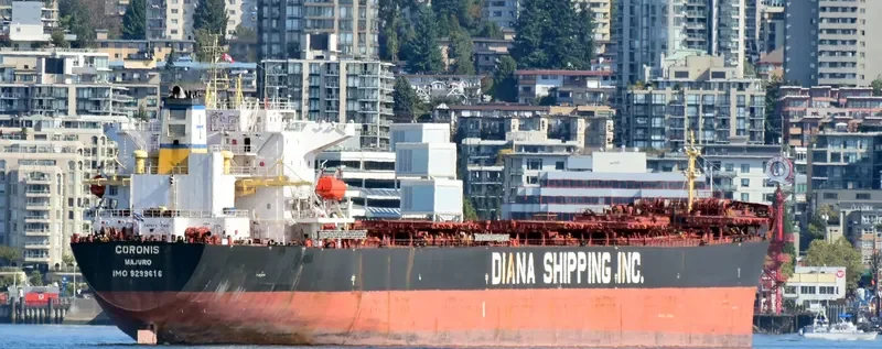 NS XIAMEN Bulk Carrier IMO 9299616 photo 3