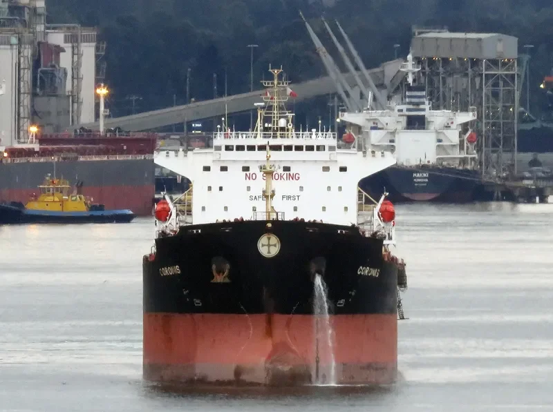 NS XIAMEN Bulk Carrier IMO 9299616 photo 5