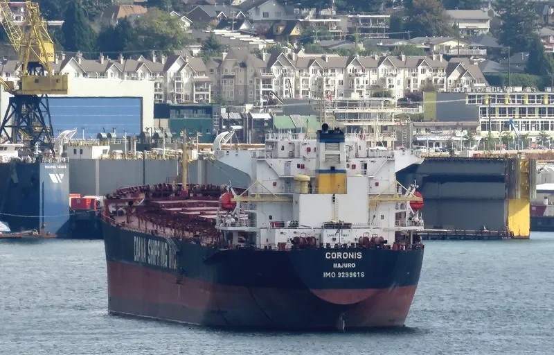 NS XIAMEN Bulk Carrier IMO 9299616 photo 6