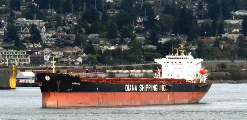 NS XIAMEN Bulk Carrier IMO 9299616 photo 7