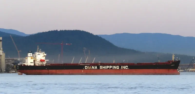 NS XIAMEN Bulk Carrier IMO 9299616 photo 9