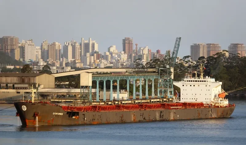 NS XIAMEN Bulk Carrier IMO 9299616 photo 10