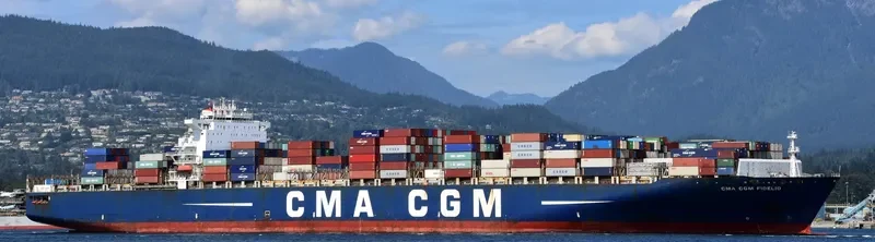CMA CGM FIDELIO Container Ship IMO 9299642 photo 3