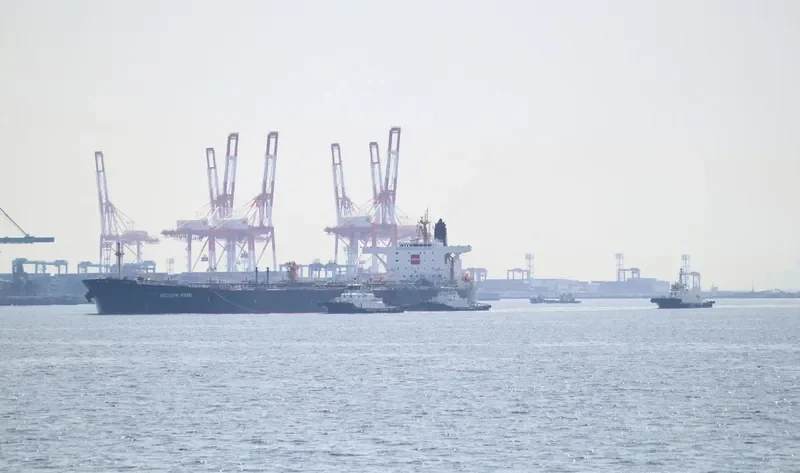 NEGISHI MARU Tanker IMO 9299941