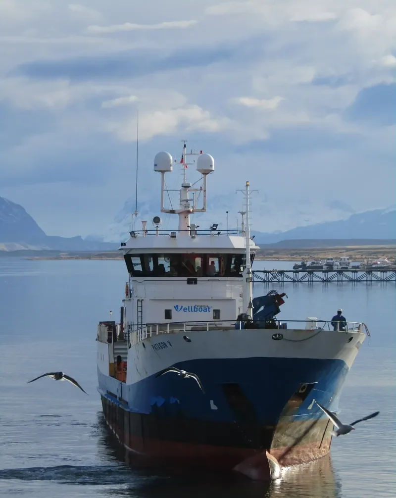 PATAGON V General Cargo IMO 9300001 photo 6