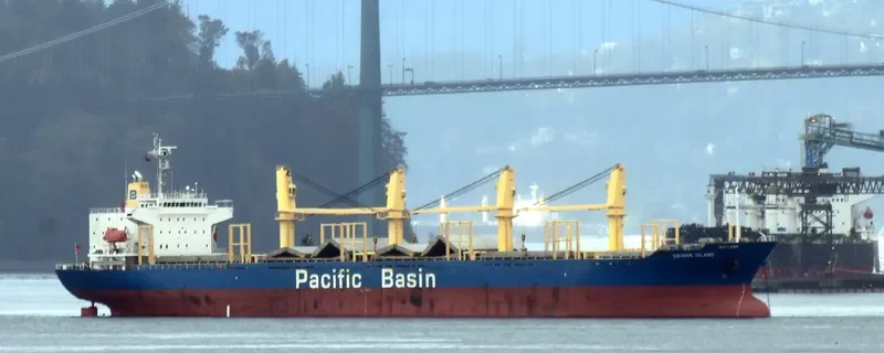 HAINAN ISLAND Bulk Carrier IMO 9300178 photo 6