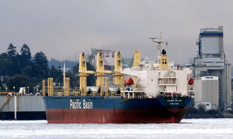 HAINAN ISLAND Bulk Carrier IMO 9300178 photo 7