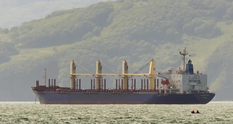 BLUE CECIL Bulk Carrier IMO 9300207