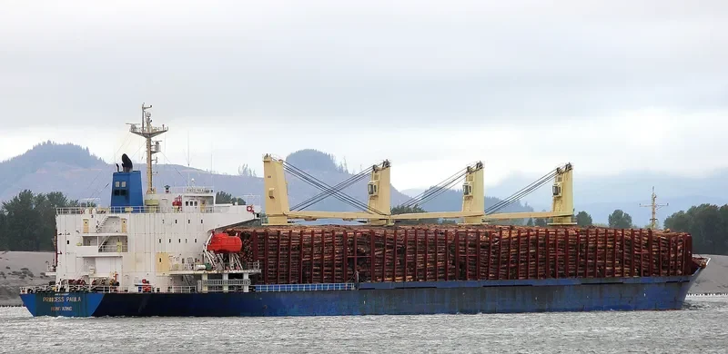 BLUE CECIL Bulk Carrier IMO 9300207 photo 3
