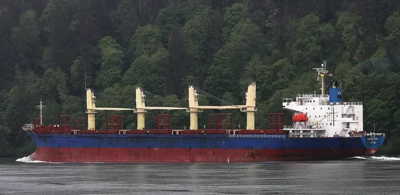 BLUE CECIL Bulk Carrier IMO 9300207 photo 4