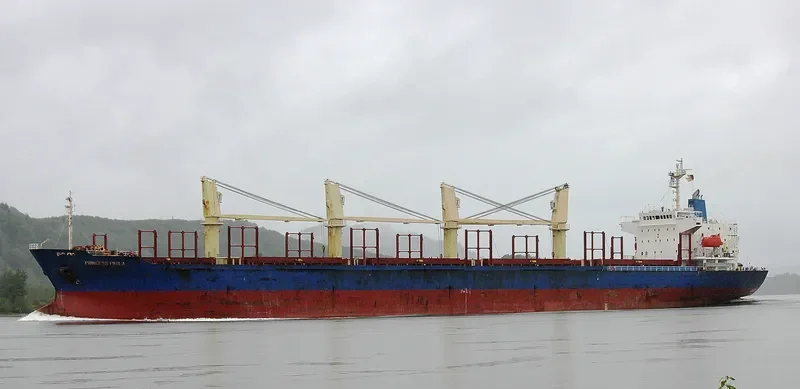 BLUE CECIL Bulk Carrier IMO 9300207 photo 5