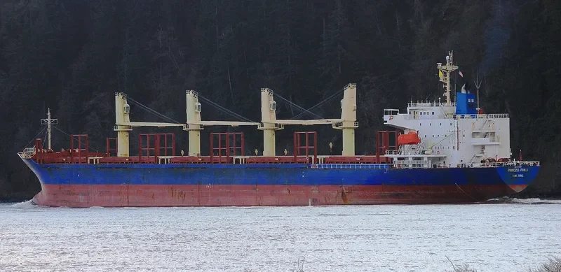 BLUE CECIL Bulk Carrier IMO 9300207 photo 7