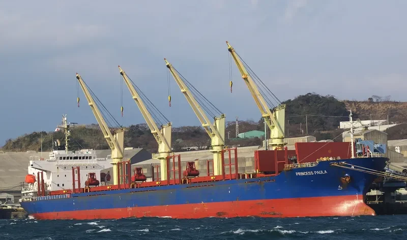 BLUE CECIL Bulk Carrier IMO 9300207 photo 8