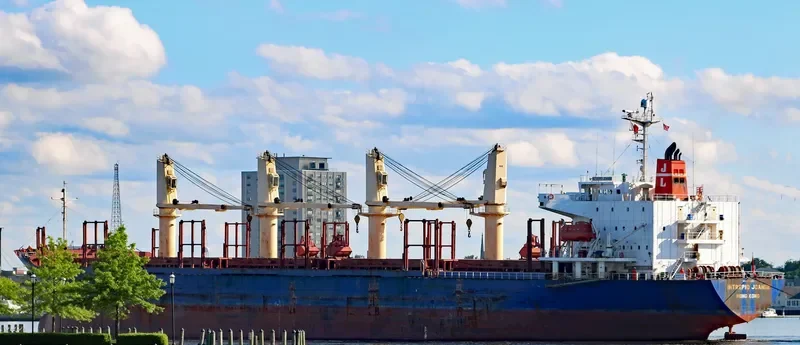 BLUE ALEXANDRA Bulk Carrier IMO 9300219