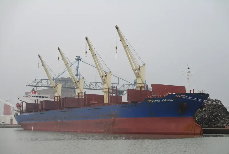 BLUE ALEXANDRA Bulk Carrier IMO 9300219 photo 3