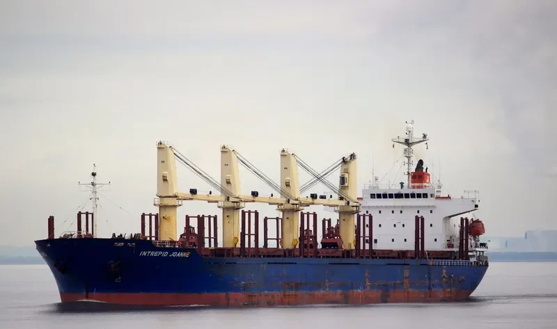 BLUE ALEXANDRA Bulk Carrier IMO 9300219 photo 5