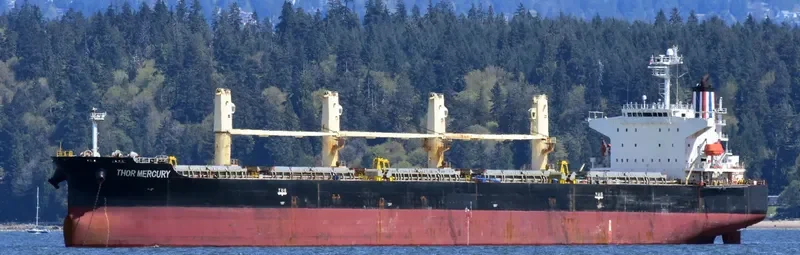 THOR MERCURY Bulk Carrier IMO 9300221 photo 4