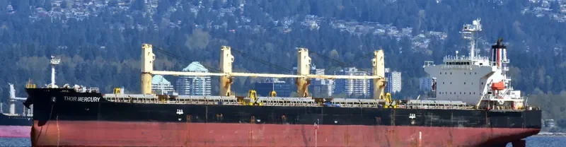THOR MERCURY Bulk Carrier IMO 9300221 photo 6