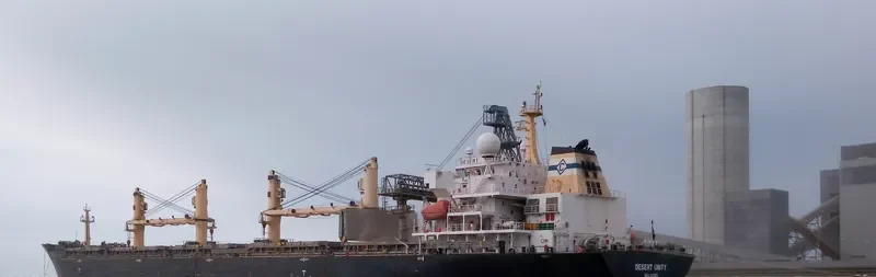 DESERT UNITY Bulk Carrier IMO 9300295