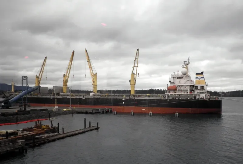 DESERT UNITY Bulk Carrier IMO 9300295 photo 2