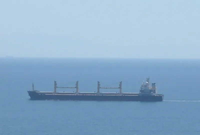 DESERT UNITY Bulk Carrier IMO 9300295 photo 6
