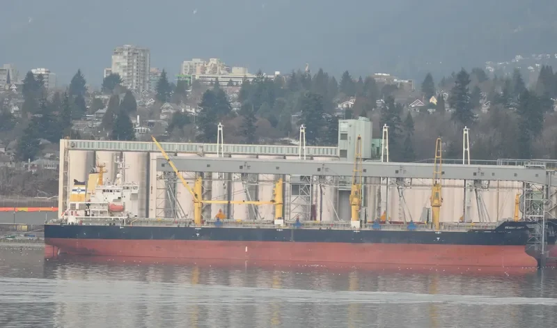 DESERT UNITY Bulk Carrier IMO 9300295 photo 7