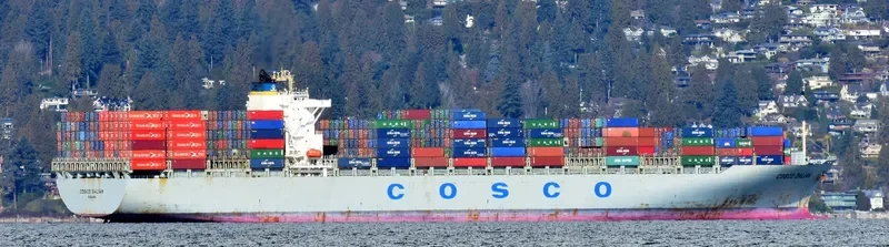 TIAN SHUN HE Container Ship IMO 9300312 photo 2