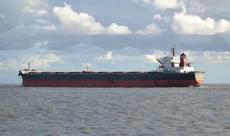 CASTILLO DE VALVERDE Bulk Carrier IMO 9300374 photo 3