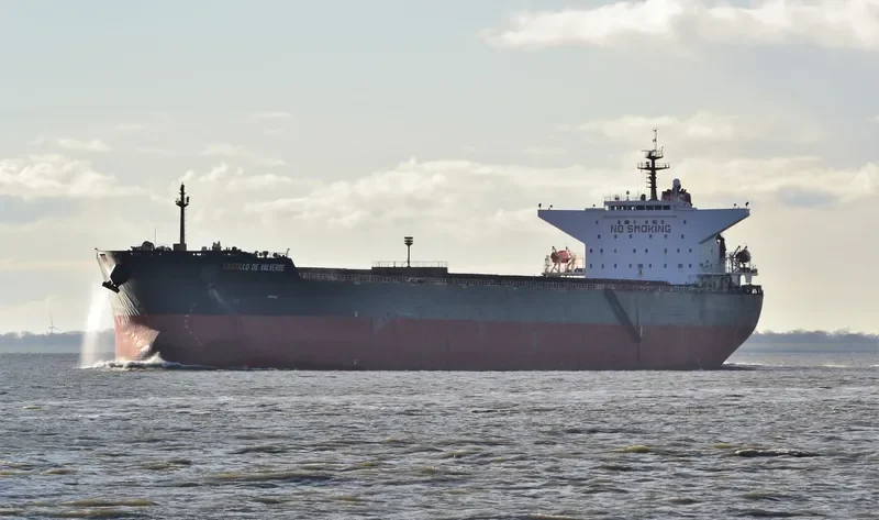 CASTILLO DE VALVERDE Bulk Carrier IMO 9300374 photo 4