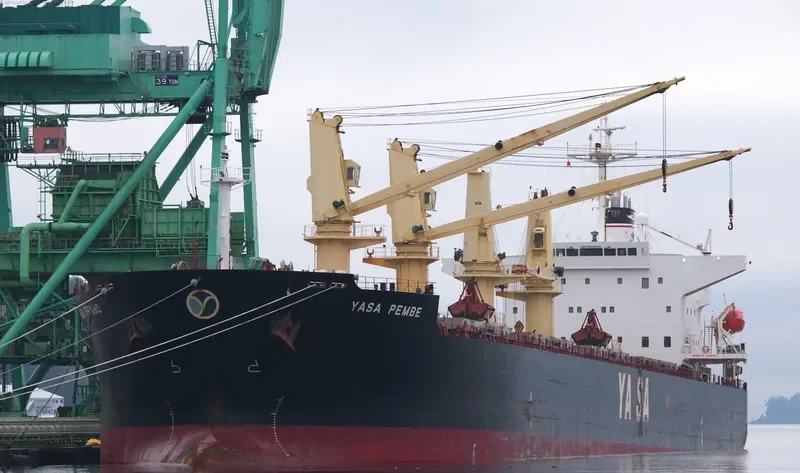 YASA PEMBE Bulk Carrier IMO 9300520
