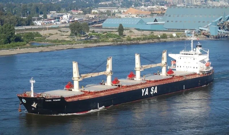 YASA PEMBE Bulk Carrier IMO 9300520 photo 4