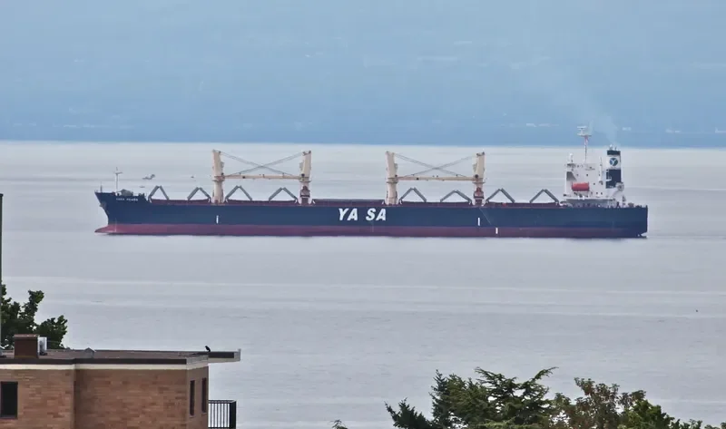 YASA PEMBE Bulk Carrier IMO 9300520 photo 5