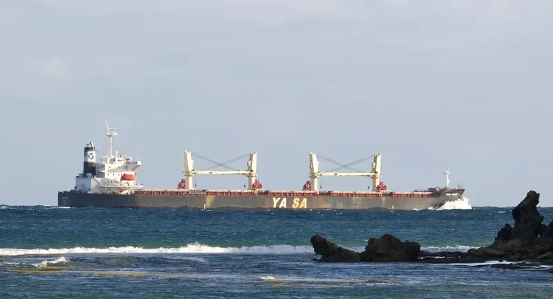 YASA PEMBE Bulk Carrier IMO 9300520 photo 6