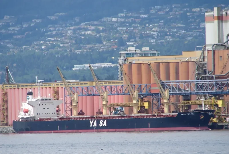 YASA PEMBE Bulk Carrier IMO 9300520 photo 9
