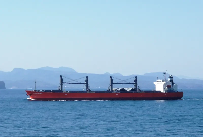 FUHAI Bulk Carrier IMO 9300611 photo 10