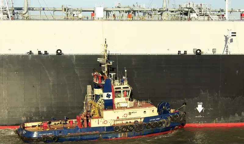 SVITZER DAMKA General Cargo IMO 9300738 photo 2