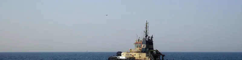 SVITZER DAMKA General Cargo IMO 9300738 photo 5