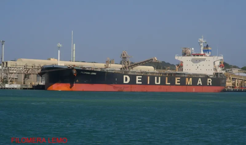 STAR GWYNETH Bulk Carrier IMO 9301031 photo 3