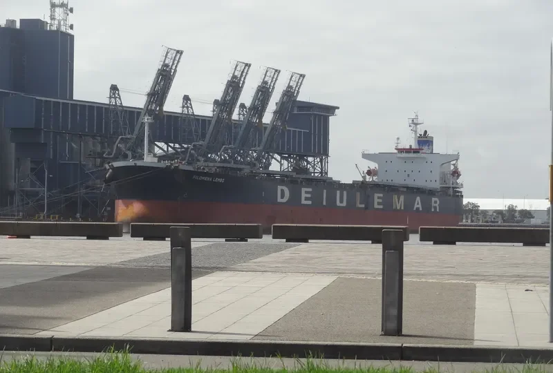 STAR GWYNETH Bulk Carrier IMO 9301031 photo 4
